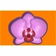 418 - Орхидея, форма для мыла